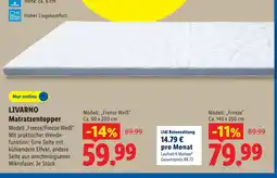 Lidl Livarno matratzentopper freeze weiß Angebot