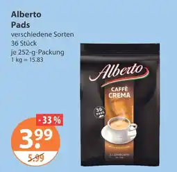 V Markt Alberto pads Angebot