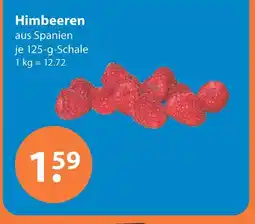 V Markt Himbeeren Angebot