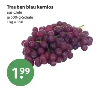 V Markt Trauben blau kernlos Angebot