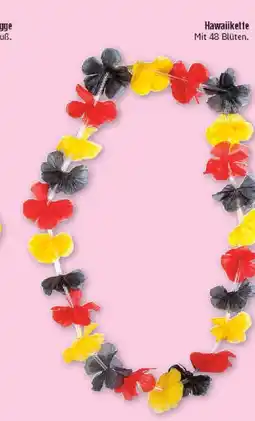 Marktkauf Hawaiikette Angebot