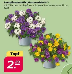 NETTO Beetpflanzen-Mix,,Gartenerlebnis Angebot
