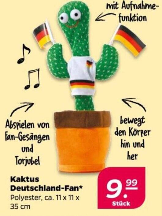 Kaktus Deutschland-Fan Angebot bei NETTO