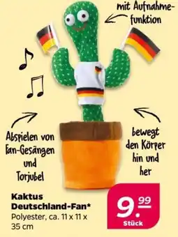 NETTO Kaktus Deutschland-Fan Angebot