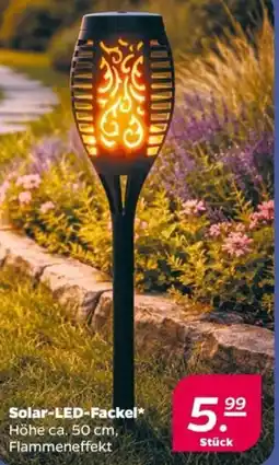 NETTO Solar-LED-Fackel Angebot