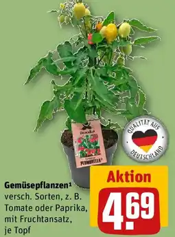 REWE Gemüsepflanzen Angebot