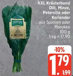 Edeka XXL Kräuterbund Dill, Minze, Petersilie oder Koriander Angebot