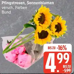 Edeka Pfingstrosen, Sonnenblumen Angebot