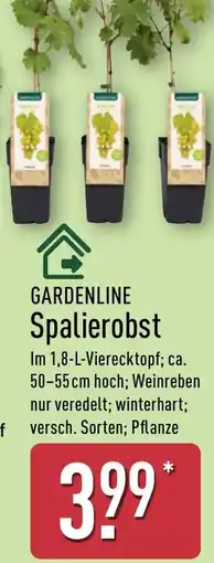 Aldi Nord GARDENLINE Spalierobst Angebot