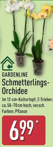 Aldi Nord GARDENLINE Schmetterlings Orchidee Angebot