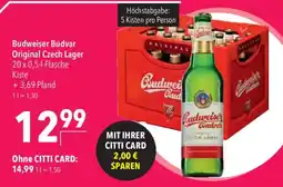 CITTI Markt Budweiser Budvar Original Czech Lager Angebot