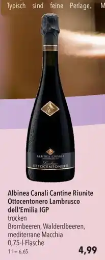 CITTI Markt Albinea Canali Cantine Riunite Ottocentonero Lambrusco dell'Emilia IGP Angebot