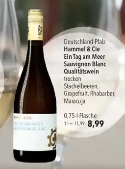 CITTI Markt Hammel & Cie Ein Tag am Meer Sauvignon Blanc Qualitätswein Angebot
