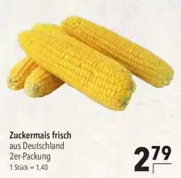 CITTI Markt Zuckermais frisch Angebot