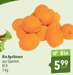 CITTI Markt Bio Aprikosen Angebot