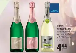 CITTI Markt Mumm Jahrgangssekt Angebot