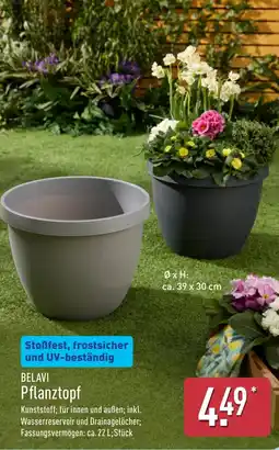 Aldi Nord BELAVI Pflanztopf Angebot