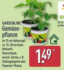 Aldi Nord GARDENLINE Gemüse pflanze Angebot