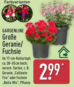 Aldi Nord GARDENLINE Große Geranie/ Fuchsie Angebot