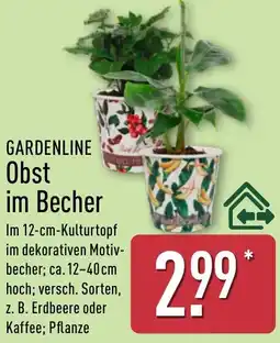 Aldi Nord GARDENLINE Obst im Becher Angebot