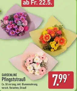 Aldi Nord GARDENLINE Pfingststrauß Angebot