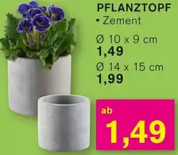 KODi Pflanztopf Angebot