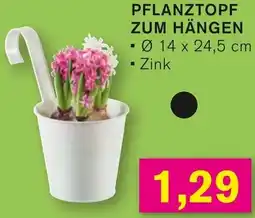 KODi Pflanztopf zum hängen Angebot