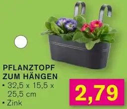KODi Pflanztopf zum hängen Angebot