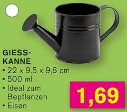 KODi Giesskanne Angebot