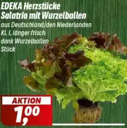 Simmel EDEKA Herzstücke Salatrio mit Wurzelballen Angebot