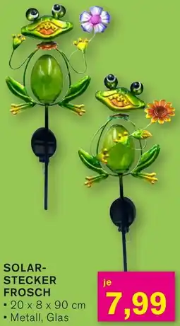 KODi Solarstecker frosch Angebot
