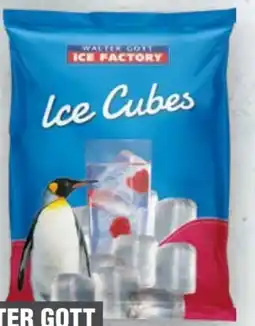 Handelshof Walter Gott Ice Factory Cubes Angebot