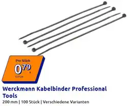Action Werckmann Kabelbinder Professional Tools Angebot