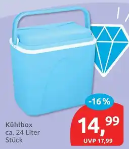 Budni Kühlbox Angebot