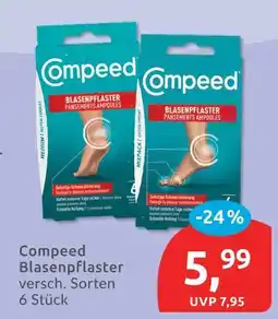 Budni Compeed blasenpflaster Angebot
