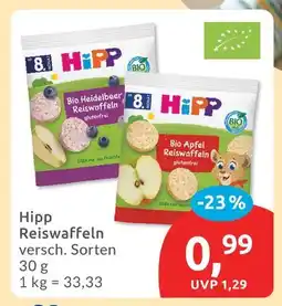 Budni Hipp bio heidelbeer reiswaffeln Angebot