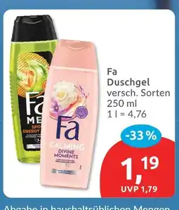 Budni Fa duschgel Angebot
