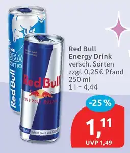 Budni Red bull energy drink Angebot