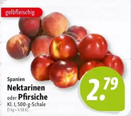 Nah & Frisch Spanien Nektarinen oder Pfirsiche Angebot