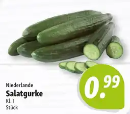 Nah & Frisch Niederlande Salatgurke Angebot