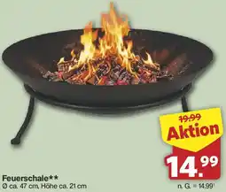 Famila Nord West Feuerschale Angebot