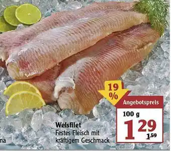 Globus Welsfilet Angebot