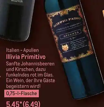 METRO Illivia Primitivo Angebot