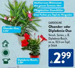 Aldi Süd GARDENLINE Oleander- oder Dipladenia-Duo Angebot