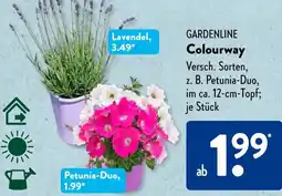 Aldi Süd GARDENLINE Colourway Angebot