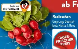 Aldi Süd Radieschen Angebot