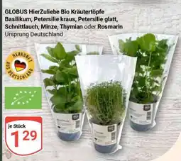 Globus GLOBUS HierZuliebe Bio Kräutertöpfe Angebot
