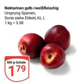 Globus Nektarinen gelb-/weißfleischig Angebot