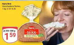 Globus Harry Brot Angebot