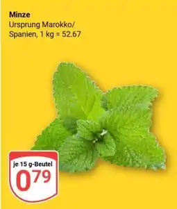 Globus Minze Angebot